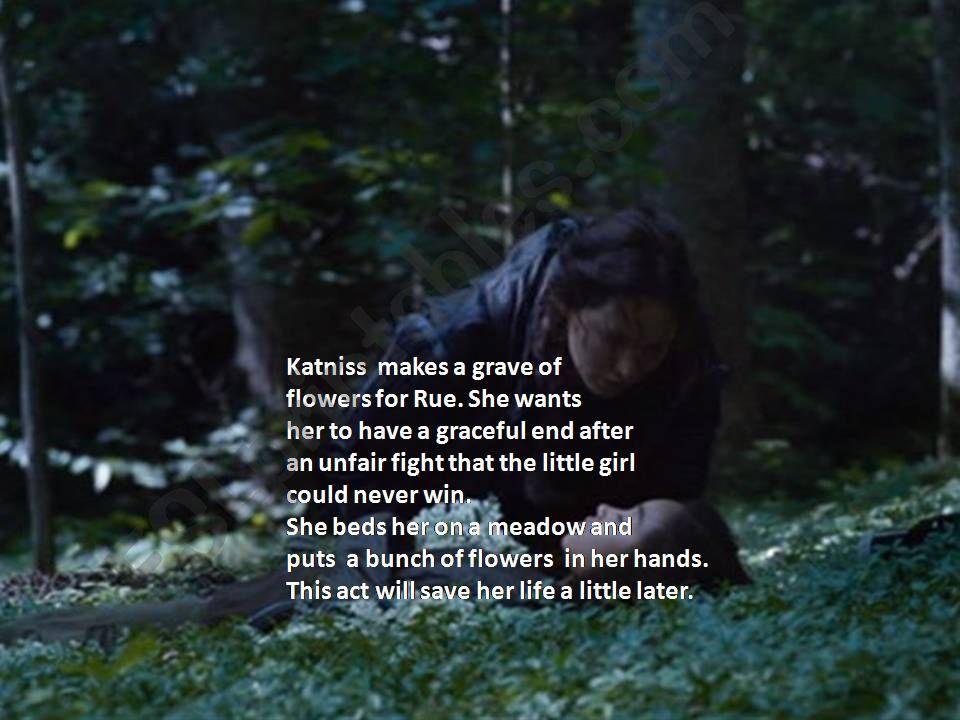 Hunger Games stills part 3 powerpoint