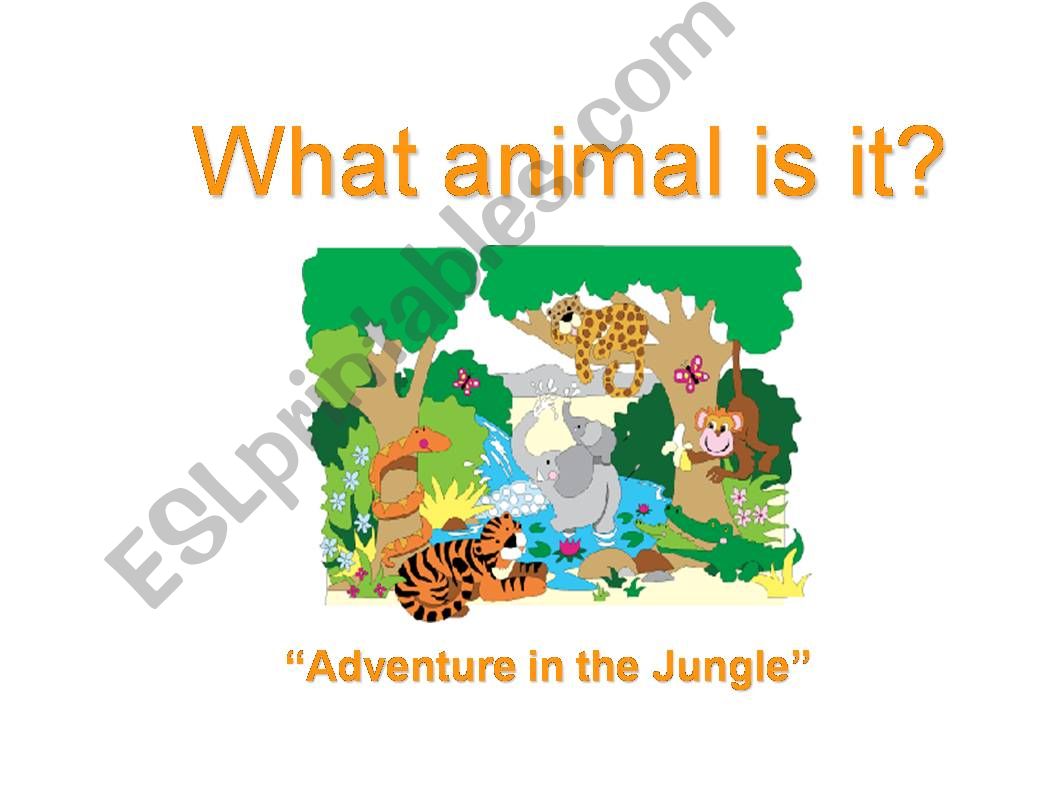 What animal is it? powerpoint