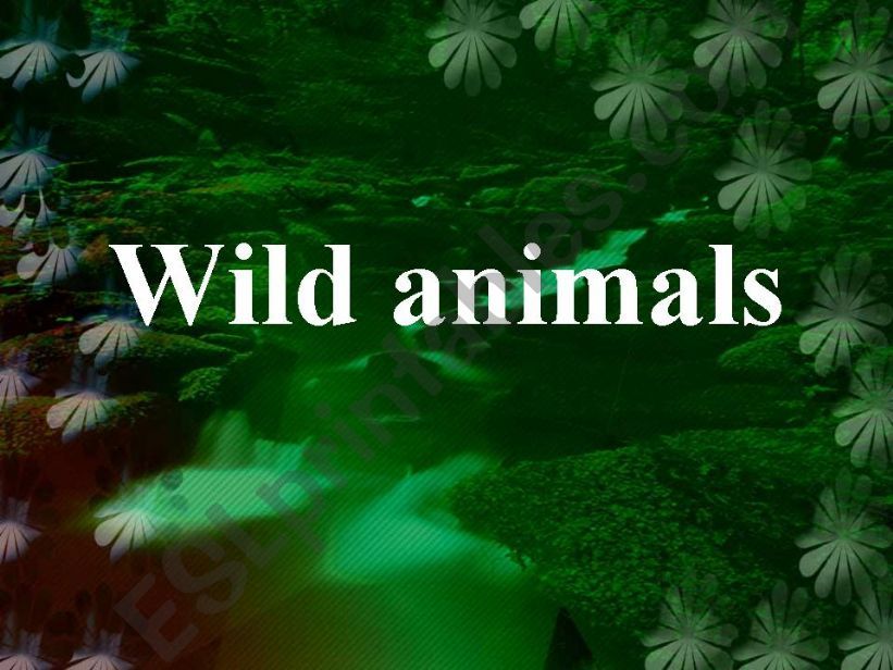 Wild animals powerpoint