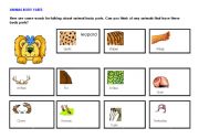 animal body parts