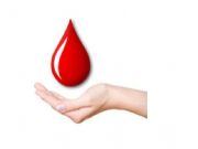 English powerpoint: blood donation