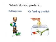 English powerpoint: Which do you prefer? with gifs