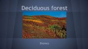 English powerpoint: Deciduous forest presentation