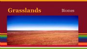 English powerpoint: Grasslands presentation