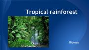 English powerpoint: Tropical rainforest presentation