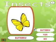 English powerpoint: insects game