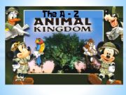 English powerpoint: A-Z ANIMAL KINGDOM PART 1/3