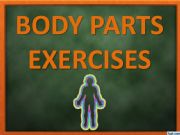 English powerpoint: BODY PARTS EXERCISES