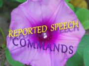 English powerpoint: REPORTED SPEECH : COMMANDS