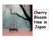 English powerpoint: cherry blossom time  in Japan 