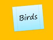 English powerpoint: Birds