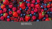 English powerpoint: Berries