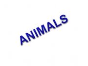 English powerpoint: animals