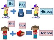 English powerpoint: Possessive adjectives