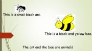 English powerpoint: The Ant and the Bee