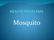 English powerpoint: Vocabularies about Mosquito and health problems