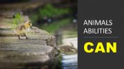 English powerpoint: WHAT CAN ANIMALS DO?