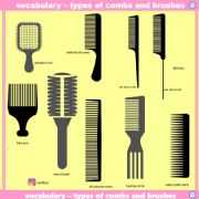 English powerpoint: Types of Combs and Brushes
