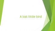 English powerpoint: A lost little bird