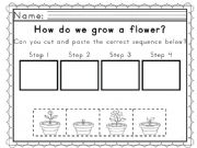 English powerpoint: How can you grow a flower?