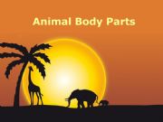 English powerpoint: Animal Body Parts Vocabulary