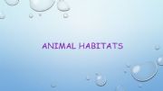 English powerpoint: animal habitats