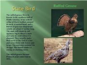 English powerpoint: Introduction to The State of Pennsylvania, US History, Geography PPT  PART 3