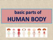 English powerpoint: Basic parts of human body