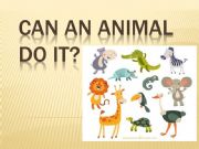 English powerpoint: Can an animal do it?