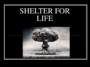 English powerpoint: Shelter for life