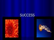 English powerpoint: Success - a speaking activity