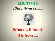 English powerpoint: Countries - describing flags
