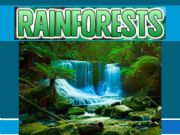 English powerpoint: The rainforest