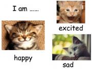 English powerpoint: Teach emotions with cat pictures