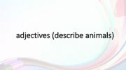 English powerpoint: Adjectives describe animals