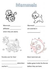 English powerpoint: Mammals