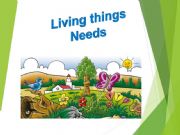 English powerpoint: ANIMALS LIVING THINGS NEEDS