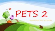 English powerpoint: PETS 2 VOCABULARY AND GAME