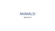 English powerpoint: WHAT ANIMAL IS TI