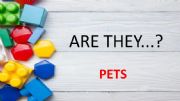 English powerpoint: ARE THEY DOGS?