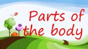 English powerpoint: PARTS OF THE BODY VOCABULARY