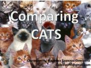 English powerpoint: Comparing CATS
