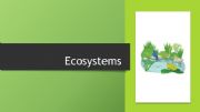 English powerpoint: Ecosystems for kids