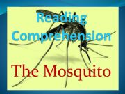 English powerpoint: Vocabularies about Mosquito and health problems