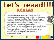 English powerpoint: Koalas
