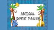 English powerpoint: Animal Body Parts