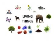 English powerpoint: Living Things (Vocabulary)