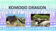 English powerpoint: KOMODO DRAGON ENDANGERED ANIMALS 
