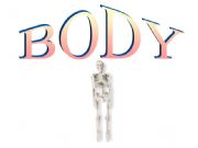 English powerpoint: Body parts
