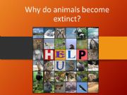 English powerpoint: Endangered animals-causes